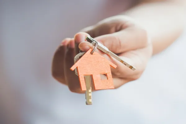 What is Sole Ownership?