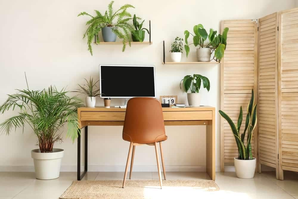 home office with desk and chair and plants